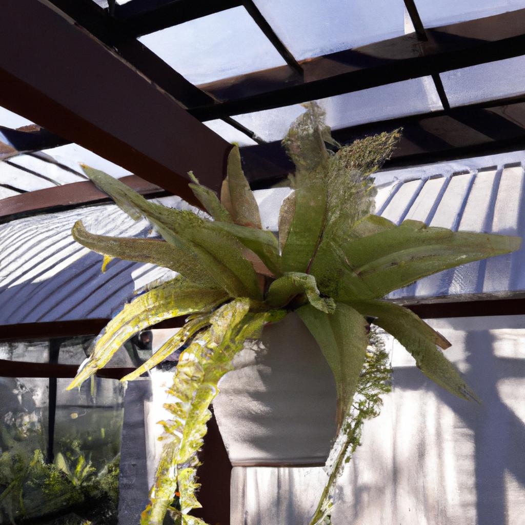 植栽計画の重要性