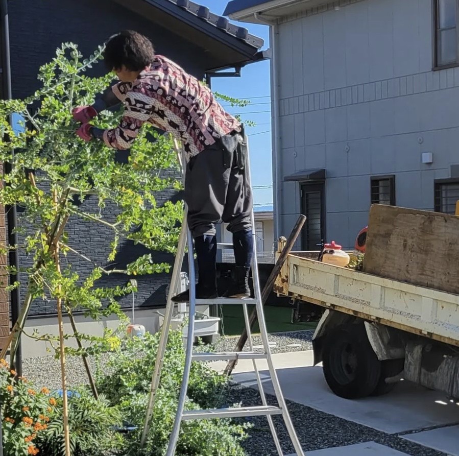 お庭を整える、抜根&剪定の重要性