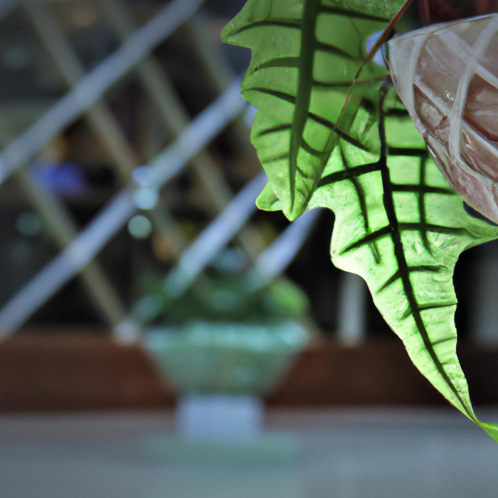 徹底した植物管理