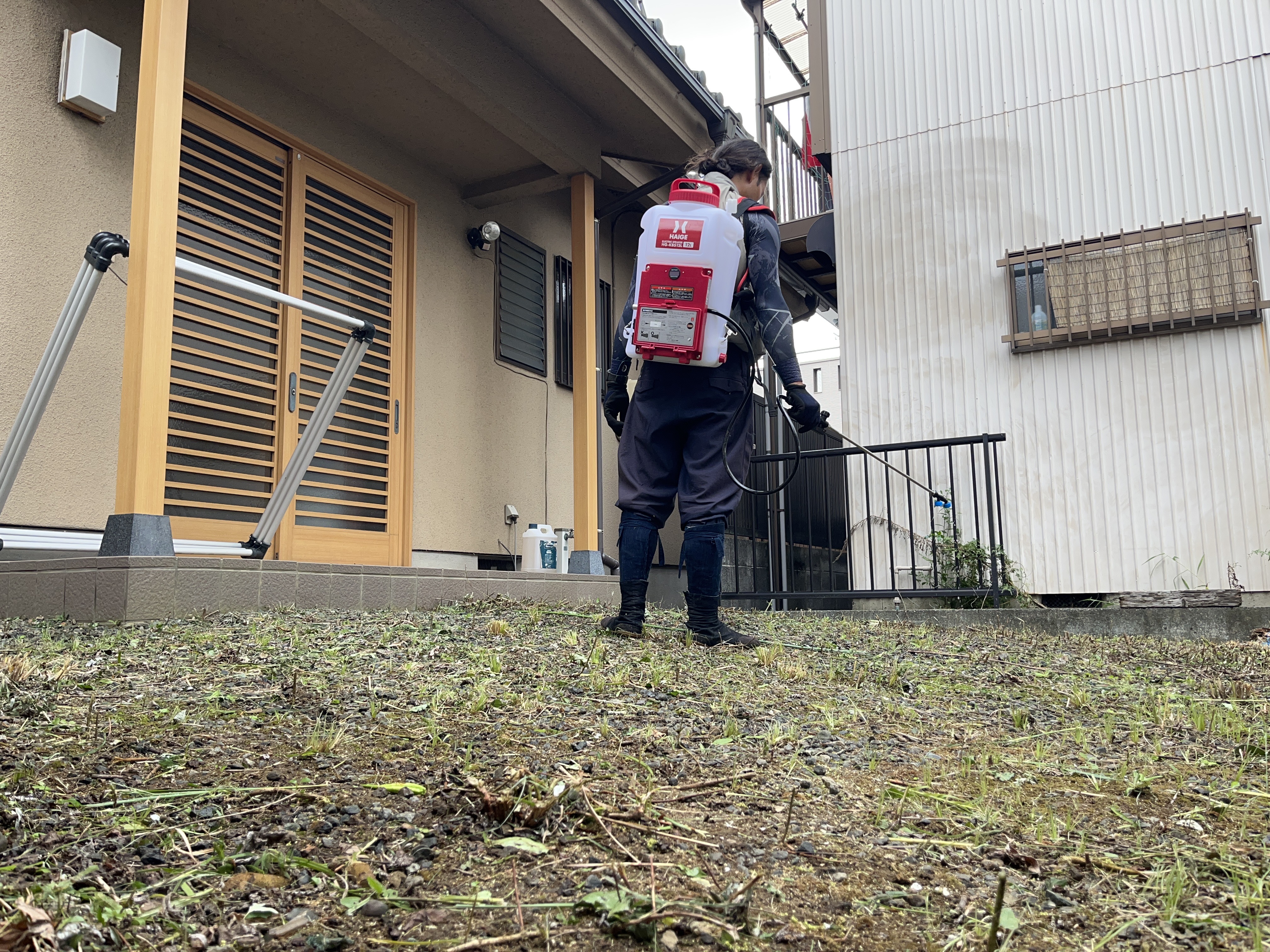 除草剤の効果と使用方法