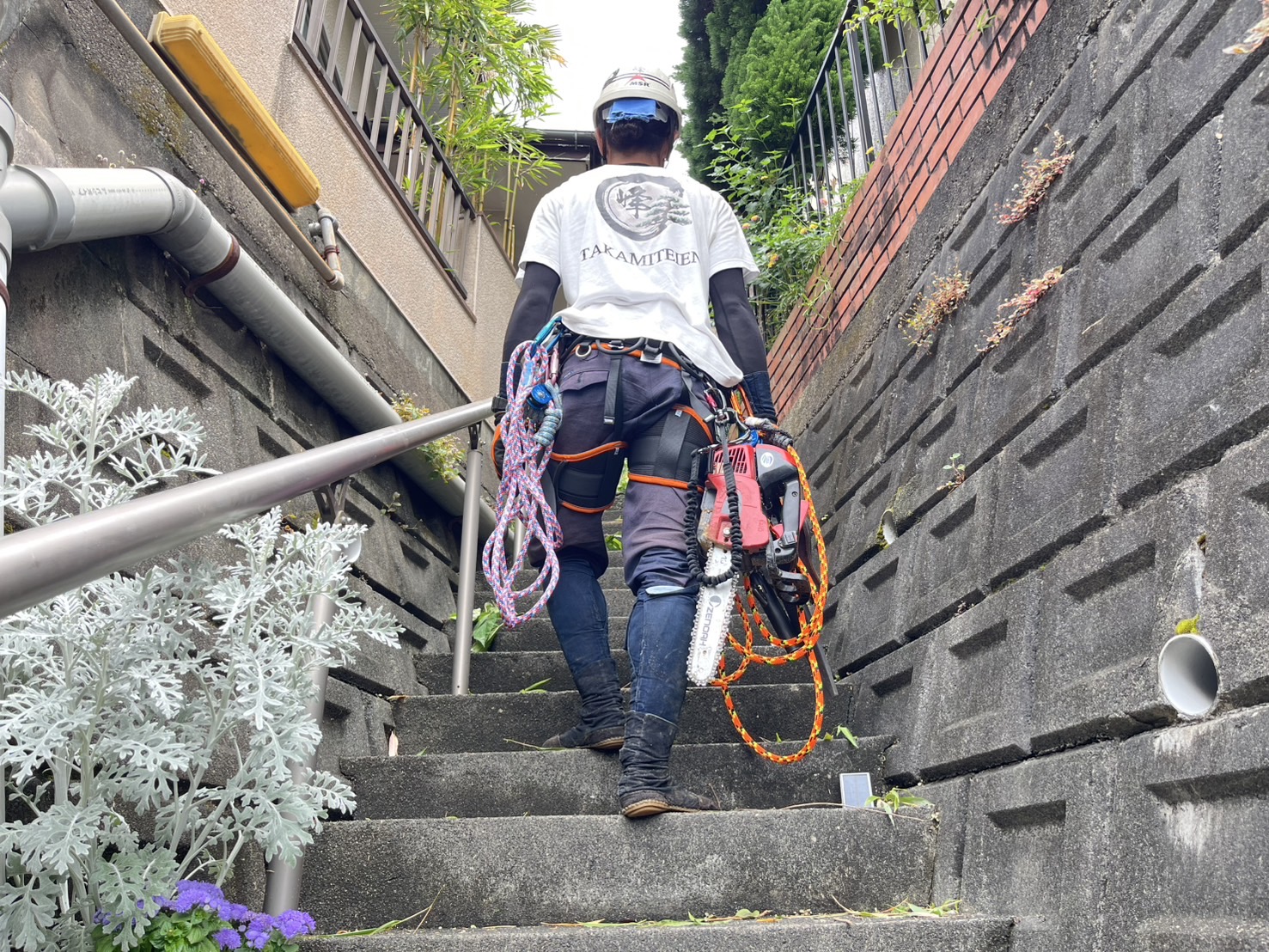 信頼の木の伐採業者